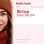 Brisa Name Meaning and Details