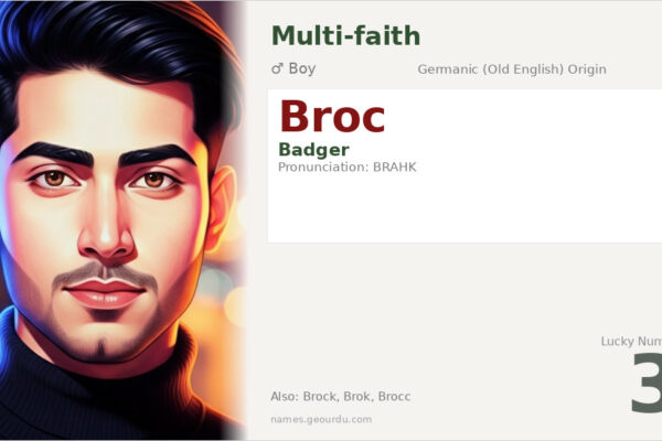 Broc Name Meaning — Origin, Gender & Details (2025)