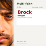 Brock Name Meaning and Details