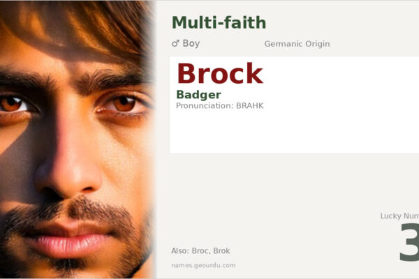 Brock Name Meaning — Origin, Gender & Details (2025)