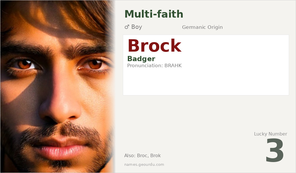 Brock Name Meaning and Details