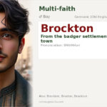 Brockton Name Meaning and Details