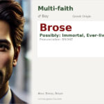 Brose Name Meaning and Details