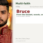 Bruce Name Meaning and Details