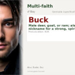 Buck Name Meaning and Details