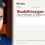 Buddhisagar Name Meaning and Details