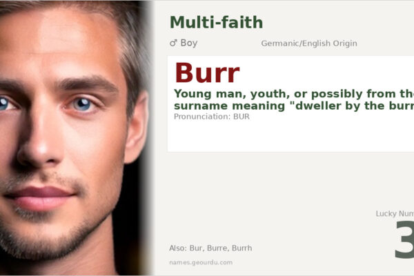 Burr Name Meaning — Origin, History & Famous Bearers (2025)