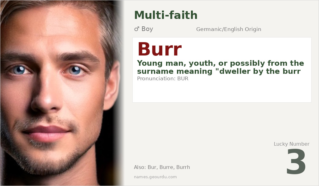 Burr Name Meaning and Details
