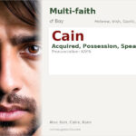 Cain Name Meaning and Details