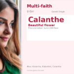 Calanthe Name Meaning and Details