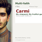 Carmi Name Meaning and Details