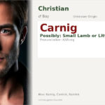 Carnig Name Meaning and Details