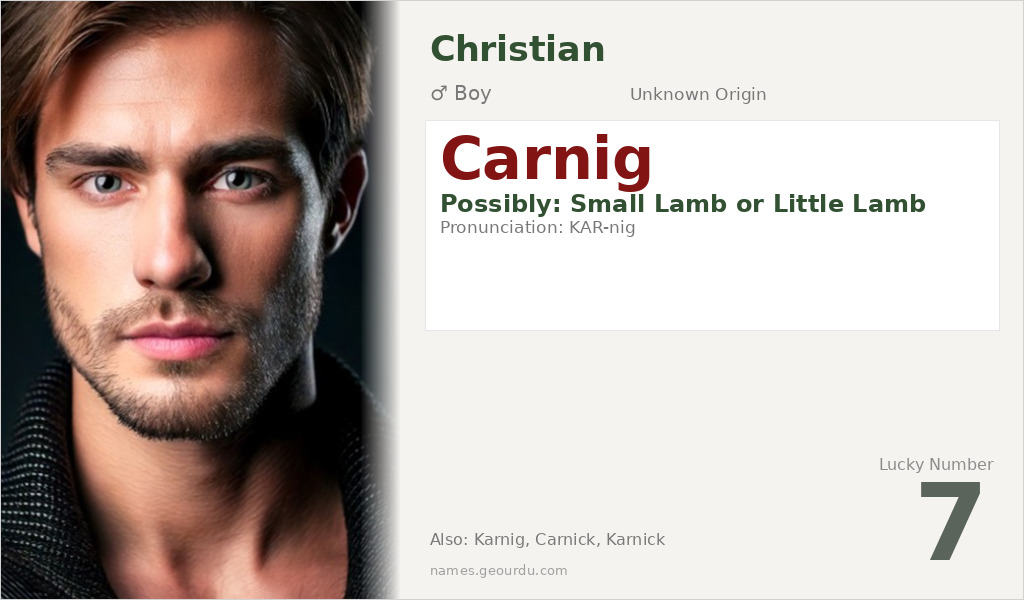 Carnig Name Meaning and Details