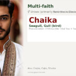 Chaika Name Meaning and Details