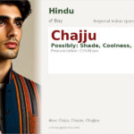 Chajju Name Meaning and Details