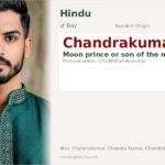Chandrakumar Name Meaning and Details