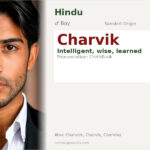 Charvik Name Meaning and Details