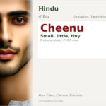 Cheenu Name Meaning and Details