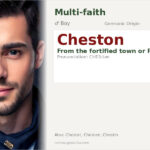 Cheston Name Meaning and Details