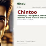 Chintoo Name Meaning and Details