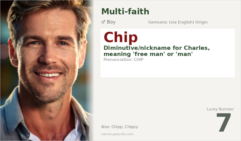 Chip Name Meaning and Details