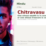 Chitravasu Name Meaning and Details