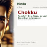 Chokku Name Meaning and Details