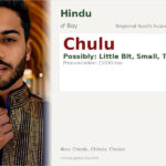 Chulu Name Meaning and Details