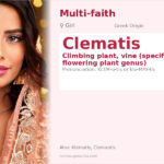 Clematis Name Meaning and Details