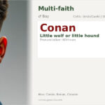 Conan Name Meaning and Details