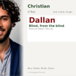 Dallan Name Meaning and Details
