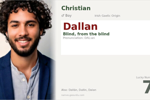 Dallan Name Meaning — Irish Origin, Boy Name & History (2025)