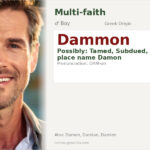 Dammon Name Meaning and Details