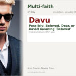 Davu Name Meaning and Details
