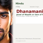 Dhanamani Name Meaning and Details