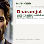 Dharamjot Name Meaning and Details