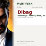 Dibag Name Meaning and Details