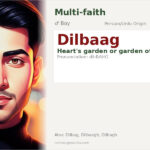 Dilbaag Name Meaning and Details