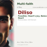 Diliso Name Meaning and Details