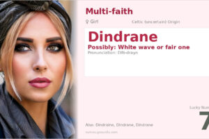 Dindrane Name Meaning and Details