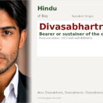 Divasabhartr Name Meaning and Details