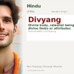 Divyang Name Meaning and Details