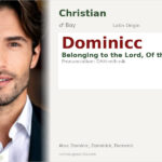 Dominicc Name Meaning and Details
