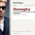Donaghy Name Meaning and Details