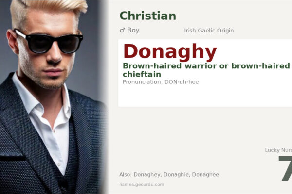 Donaghy Name Meaning — Irish Origin, Boy Name & History (2025)