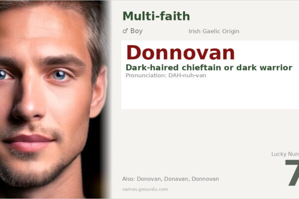Donnovan Name Meaning — Irish Origin, Boy’s Name & History (2025)