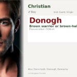 Donogh Name Meaning and Details