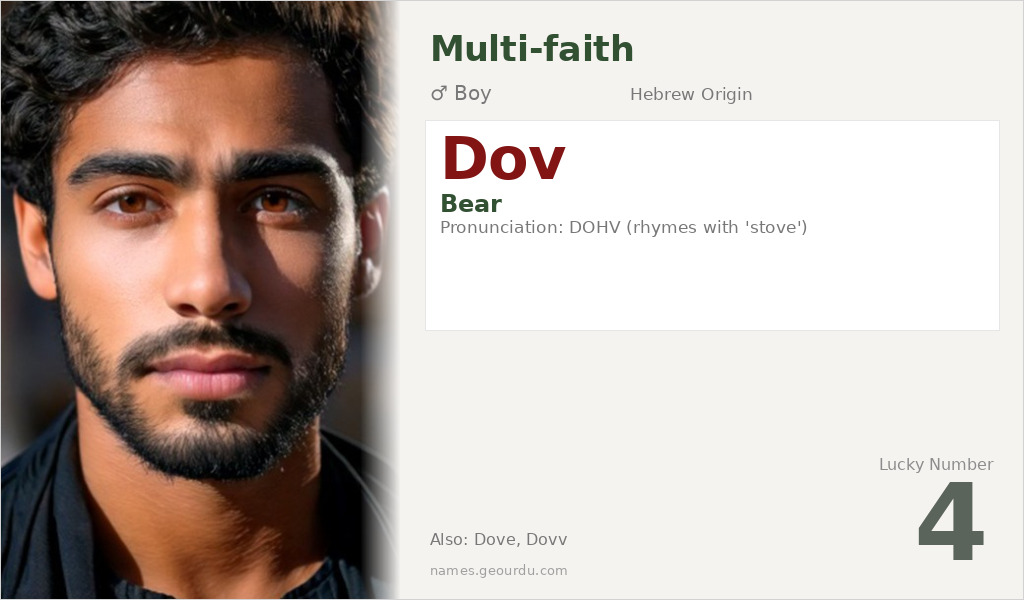 Dov Name Meaning and Details