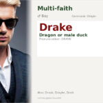 Drake Name Meaning and Details