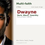 Dwayne Name Meaning and Details